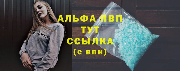 apvp Бородино