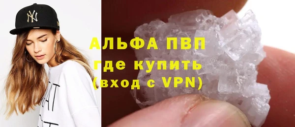 apvp Бородино