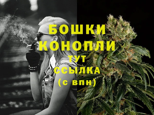 apvp Бородино