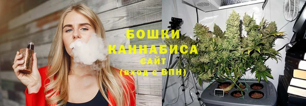 apvp Бородино