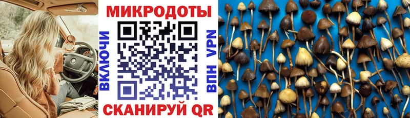 Галлюциногенные грибы Cubensis  Верхний Тагил 
